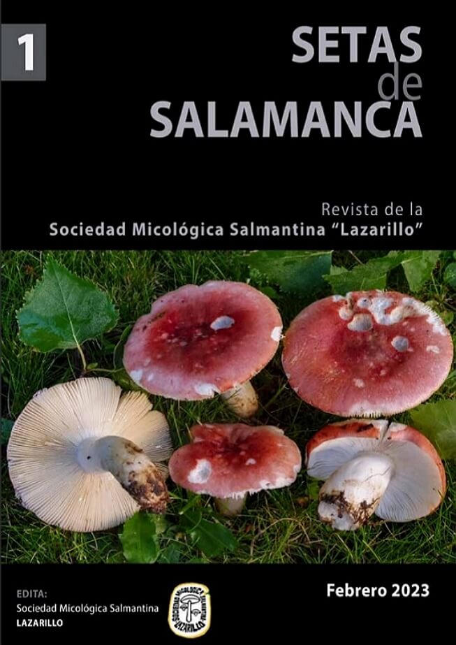 Portada Revista digital Setas de Salamanca nº 1