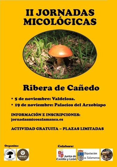 Cartel Jornadas Micológicas Ribera de Cañedo 2022