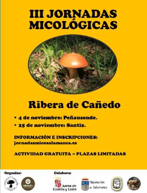 Cartel Jornadas Micológicas Ribera de Cañedo 2023