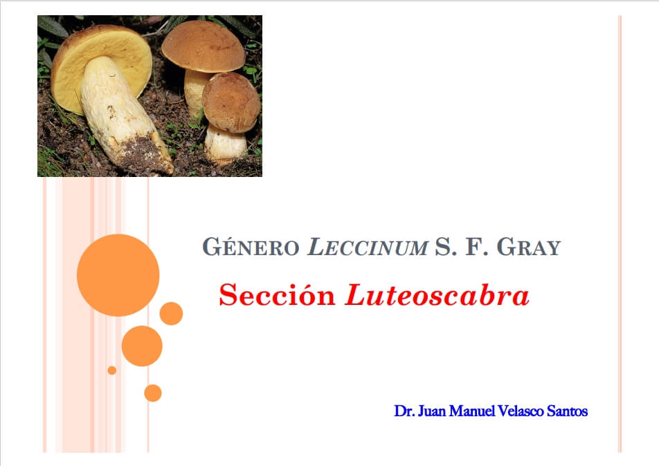 Portada presentación del género Leccinum